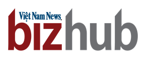 VN Biz Hub logo